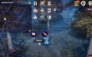 《黑色沙漠手游角色大全攻略》（探索黑沙世界，解锁无限可能）
