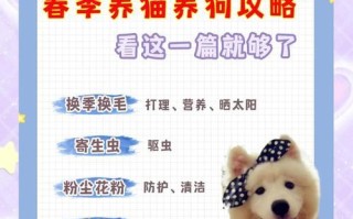 如何照顾阿猫阿狗小游戏攻略（游戏角色的需求与技巧）
