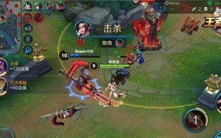 《九命猫出装顺序攻略》（了解九命猫出装的最佳顺序，轻松提升游戏实力！）