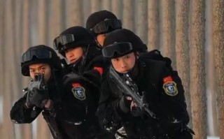 中国教官出装攻略大全（掌握关键装备带你登上巅峰战场）