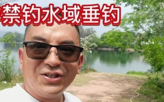 《探索乐趣无限的野外垂钓小游戏攻略》（体验大自然魅力，挑战钓鱼技巧，精准掌握钓鱼秘诀！）