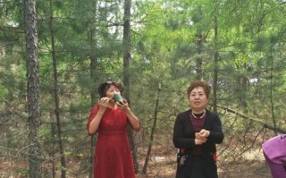 八姐妹阵容出装搭配攻略（强力组合登场，华丽团战不止！）