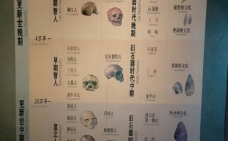 探索石器时代的全攻略（从石器时代的生活方式到技术发展，一切尽在这里！）