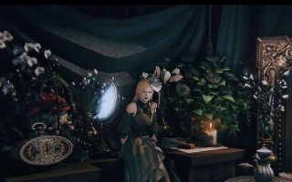 《FF14军团陆行鸟装备大揭秘》（深入探索陆行鸟装备的千奇百怪）