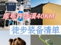 单排沙漠打野出装攻略（提升胜率的关键技巧与装备选择）