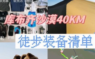 单排沙漠打野出装攻略（提升胜率的关键技巧与装备选择）