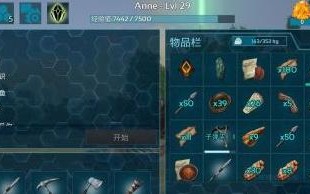 方舟手游攻略（游戏中文主题设置技巧与注意事项详解）