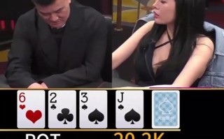 布兰妮家庭派对游戏攻略（打造属于布兰妮的家庭派对游戏，让每个人都沉浸其中！）