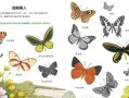 昆虫世界攻略（探索昆虫世界，与好友共享冒险乐趣！）