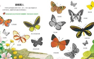昆虫世界攻略（探索昆虫世界，与好友共享冒险乐趣！）