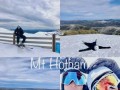 微软滑雪游戏攻略大全（玩转微软滑雪游戏，成为顶尖滑雪玩家）