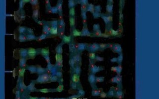揭秘《谁是海盗王》攻略秘籍（航向未知的大冒险，获得无尽荣耀）