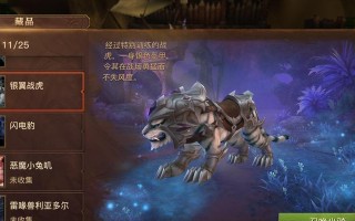 《探索光明大陆，攻略副本！》（一场惊险刺激的冒险，等待你的挑战！）