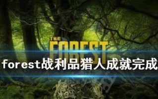 遗物猎人（跟随指南，轻松成就达成）