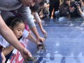 探索极地螃蟹的攻略与出装建议（解锁极地螃蟹最强玩法，成为战场上的主宰）