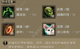 《掌握天龙丐帮宝石攻略，轻松提升实力》（天龙丐帮宝石攻略，助你成为顶尖高手）