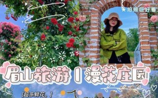 鲜花庄园手游攻略（解锁高级花种，建设花海盛景，享受游戏乐趣！）