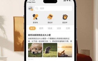 抓宠物小程序游戏攻略（揭秘顶级宠物训练师的培养技巧，让你成为游戏中最强大的玩家！）
