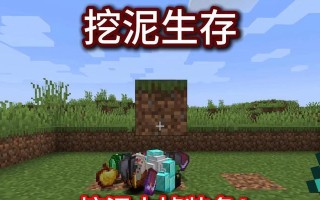 深入地底（挖掘宝藏，成为地下王者！）