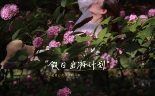 攻略滨江森林公园，享受自然之美（探索丰富多样的游览项目，亲近大自然的理想目的地）