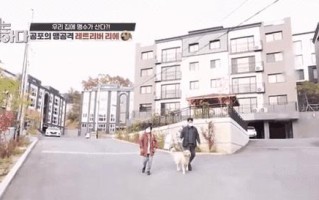 魔幻共存（当人类与恶魔相互依存，建立和谐共生的秘诀揭晓）