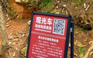长沙岳麓山攻略游戏，探索美丽的山水风光（游走岳麓山，领略长沙之美）