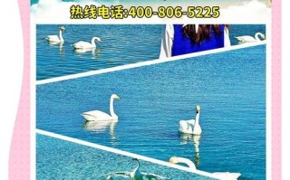 徒步旅行游戏攻略（用脚步丈量远方，揭开徒步旅行游戏的奇妙之谜）