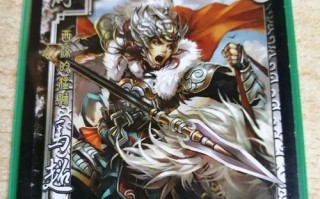 三国杀烈全攻略（三国杀烈全攻略，助你成为无敌王者！）