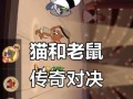 猫和老鼠艺术对决游戏攻略（尽在你手指之间，以猫和老鼠艺术对决游戏成为最顶尖的艺术家）