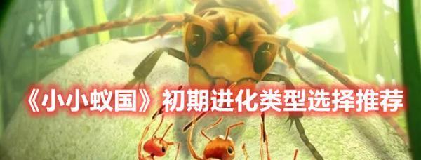 《探索小小进化号的无尽可能性》（一场华丽的微观世界冒险之旅）-第1张图片-游趣乐园