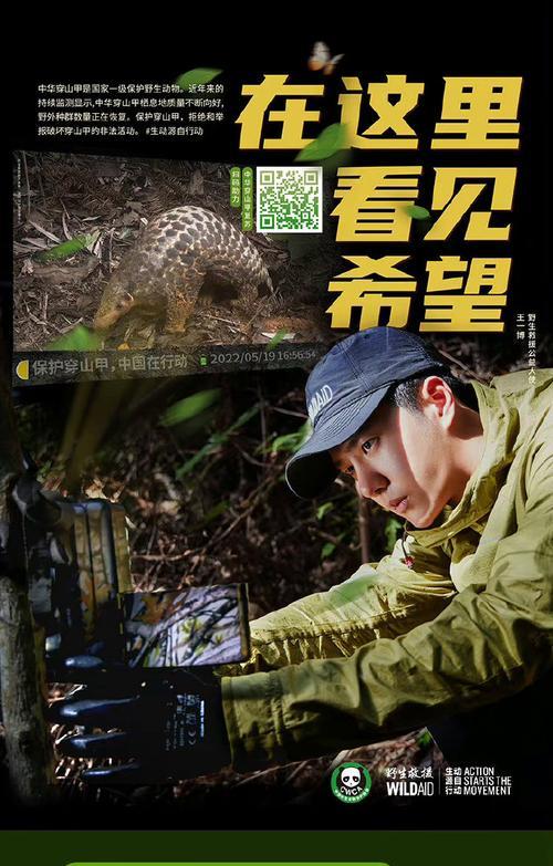 跑男正能量攻略（以热血奋斗为媒介，激发青年正能量的电视节目）-第2张图片-游趣乐园