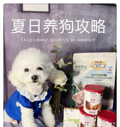 《探寻浅塘297关的神秘密码》（揭秘297关隐藏的宝藏，重温经典游戏）-第3张图片-游趣乐园