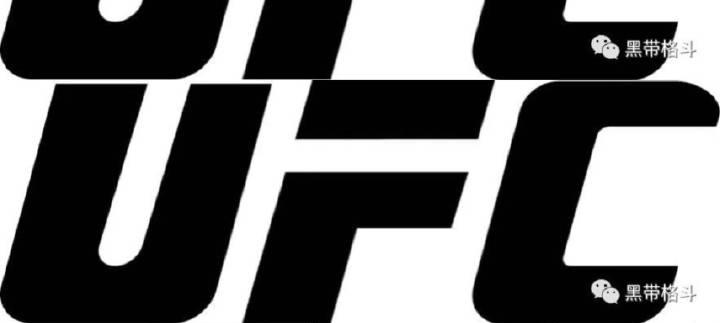 苹果UFC游戏攻略（突破敌阵，荣耀无限！）-第3张图片-游趣乐园