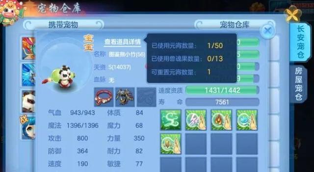 神武新手老区攻略（深入解析神武老区，助你在古老世界中崛起）-第1张图片-游趣乐园