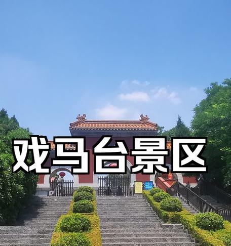 《以西楚霸王医师攻略》（成为治愈之王，拯救生命的奇迹）-第2张图片-游趣乐园