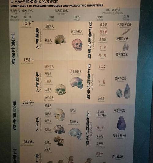 探索石器时代的全攻略（从石器时代的生活方式到技术发展，一切尽在这里！）-第1张图片-游趣乐园