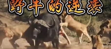 征战远古（揭秘远古时期的生存之道，带你征战世界的边缘）-第1张图片-游趣乐园