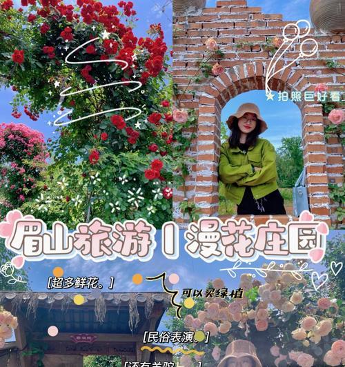 鲜花庄园手游攻略（解锁高级花种，建设花海盛景，享受游戏乐趣！）-第1张图片-游趣乐园