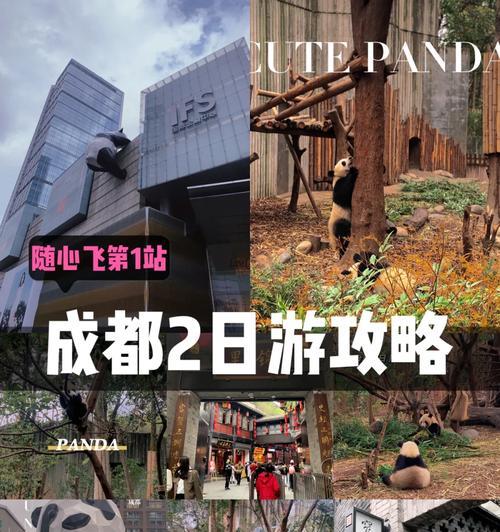 《随心飞攻略手游，让你畅游无限》（开启冒险之旅，解锁无尽精彩）-第2张图片-游趣乐园