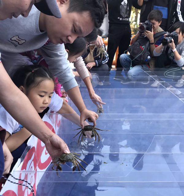 探索极地螃蟹的攻略与出装建议（解锁极地螃蟹最强玩法，成为战场上的主宰）-第1张图片-游趣乐园