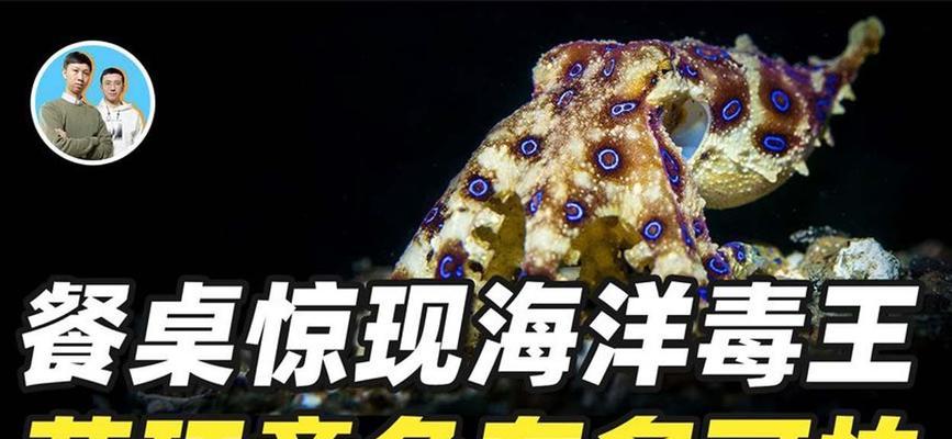 探索2023毒王装备搭配的奥秘（揭秘毒王装备搭配趋势，构建绝对优势）-第3张图片-游趣乐园