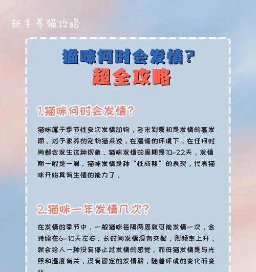 雷霆猫咪最新版出装攻略（解析雷霆猫咪的最佳装备选择，成就不可阻挡的电击强者）-第3张图片-游趣乐园