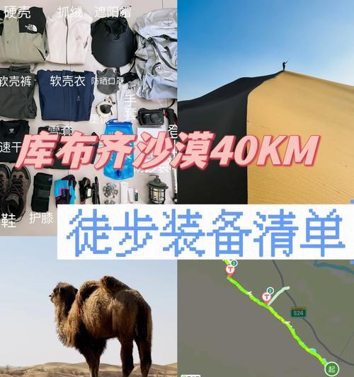 单排沙漠打野出装攻略（提升胜率的关键技巧与装备选择）-第1张图片-游趣乐园