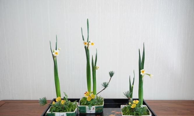 大话西游2水仙出装攻略（穿越西游世界，水仙如何装备才能发挥最大战力？）-第2张图片-游趣乐园