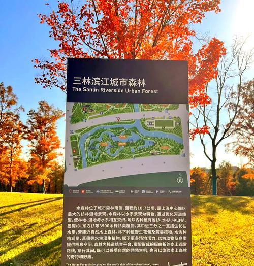 攻略滨江森林公园，享受自然之美（探索丰富多样的游览项目，亲近大自然的理想目的地）-第3张图片-游趣乐园